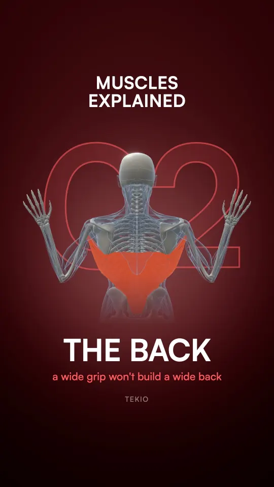 Lesson cover : The back
