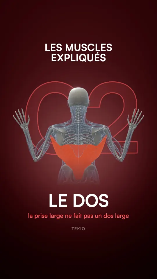 Couverture de la leçon : Le dos