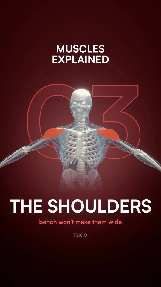 Lesson cover : The shoulders