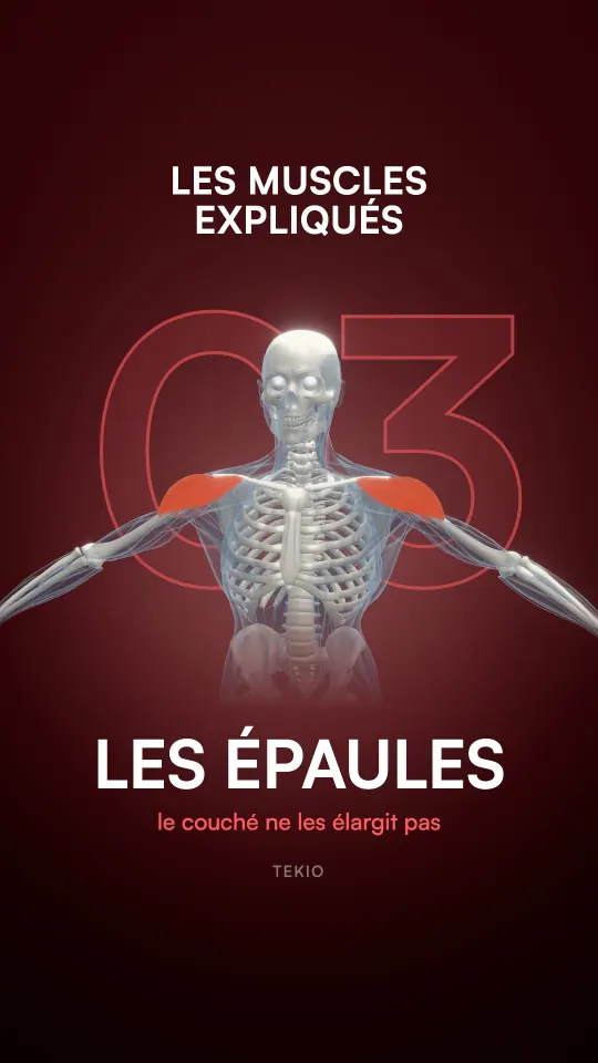 Couverture de la leçon : Les épaules