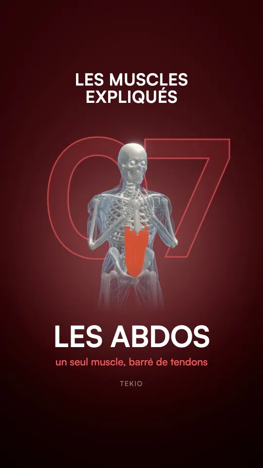 Couverture de la leçon : Les abdos