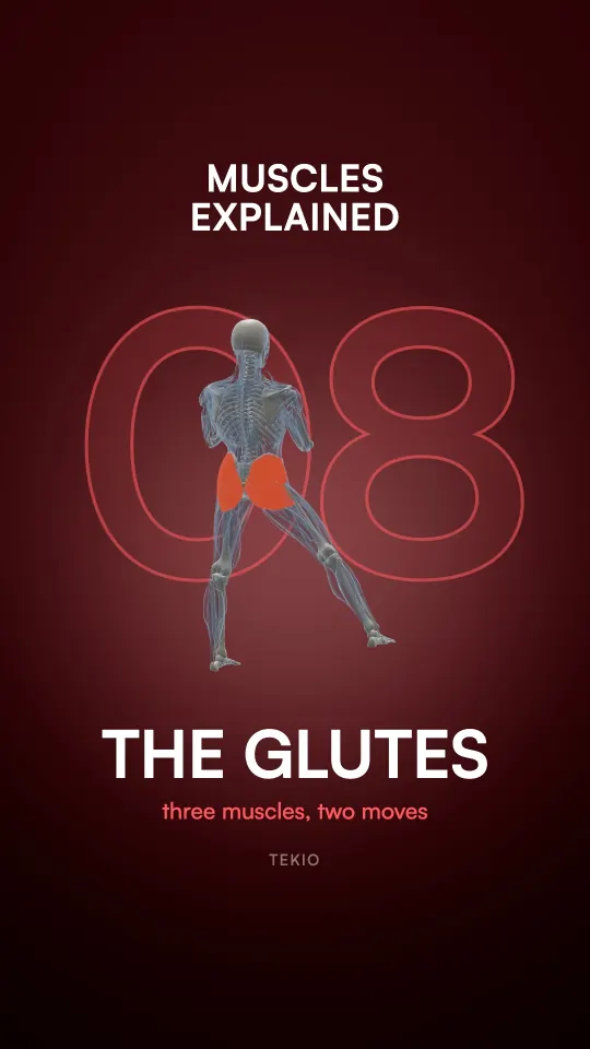 Lesson cover : The glutes