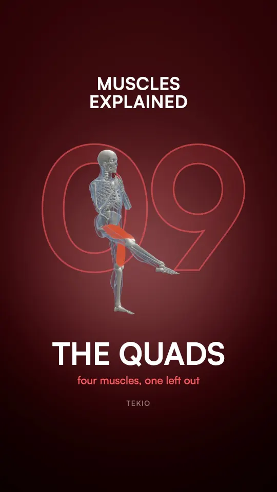 Lesson cover : The quads