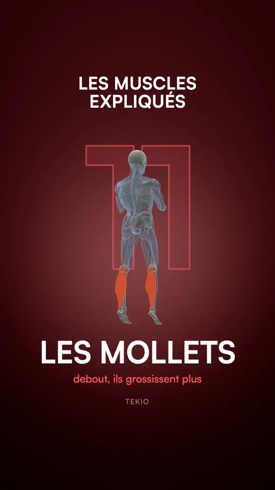 Couverture de la leçon : Les mollets