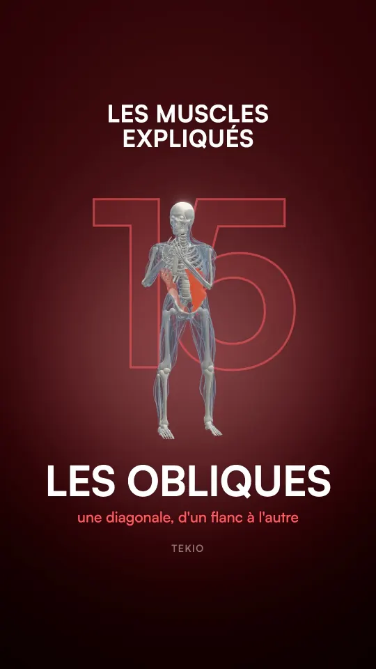 Couverture de la leçon : Les obliques