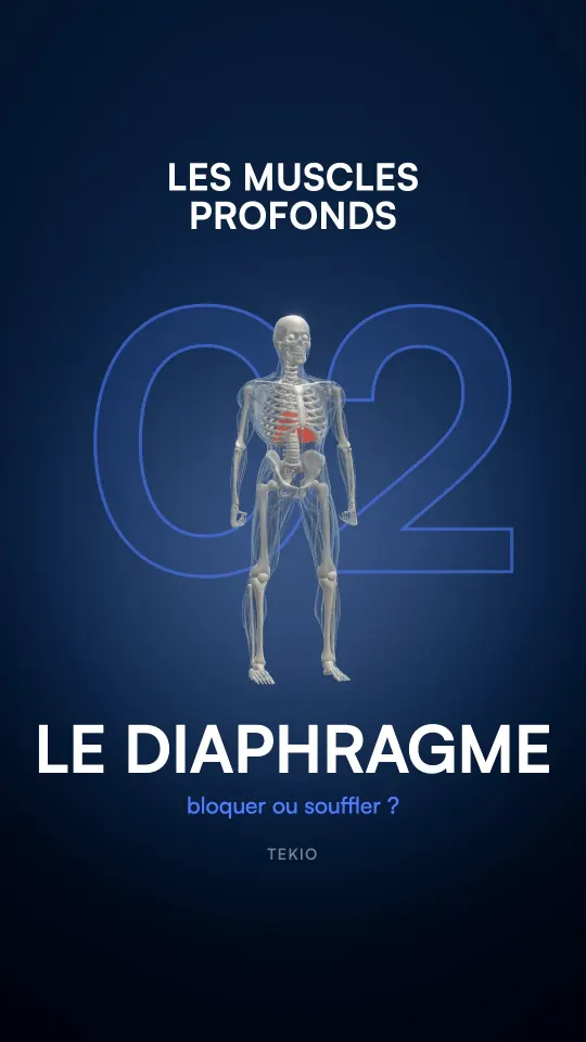Couverture de la leçon : Le diaphragme