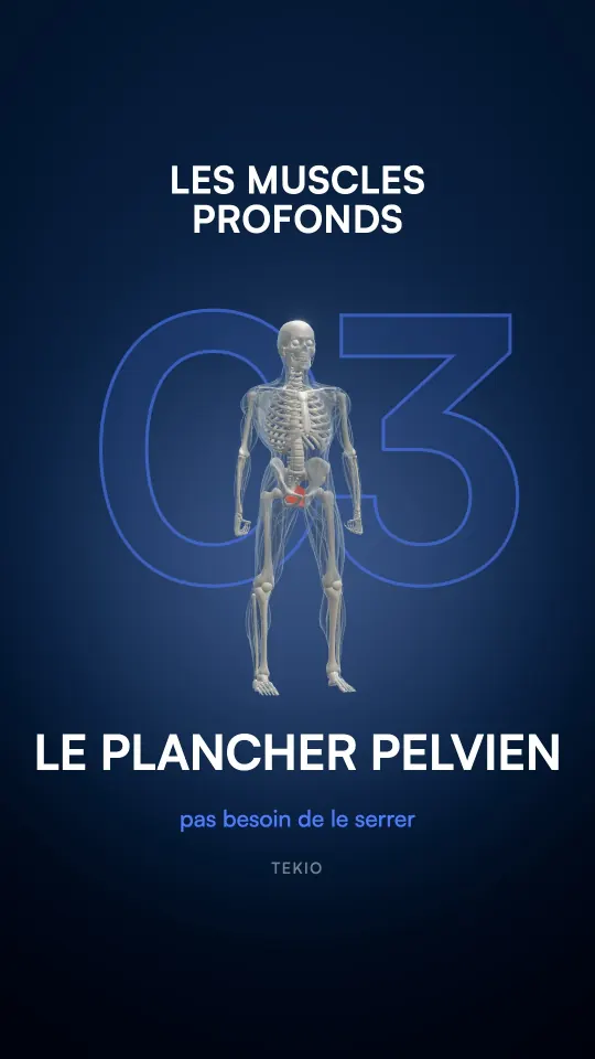 Couverture de la leçon : Le plancher pelvien