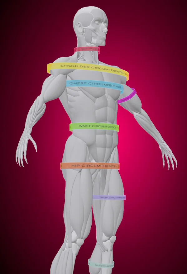 Tekio’s 3D body showing Measurements